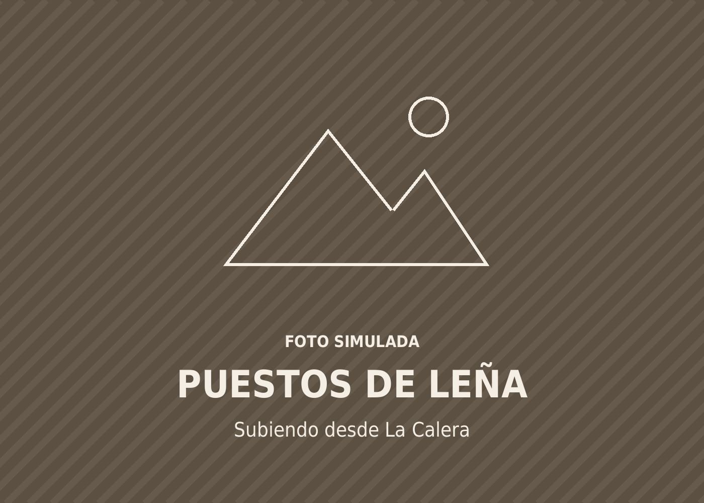 Foto simulada de los puestos de leña en la subida